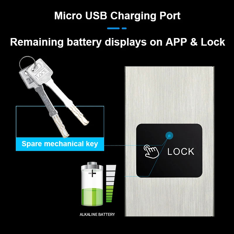 ZHDCOOKEY Electronic European Waterproof Bluetooth TTlock Fingerprint IC Card Password Digital Smart Door Lock For Aluminum Door