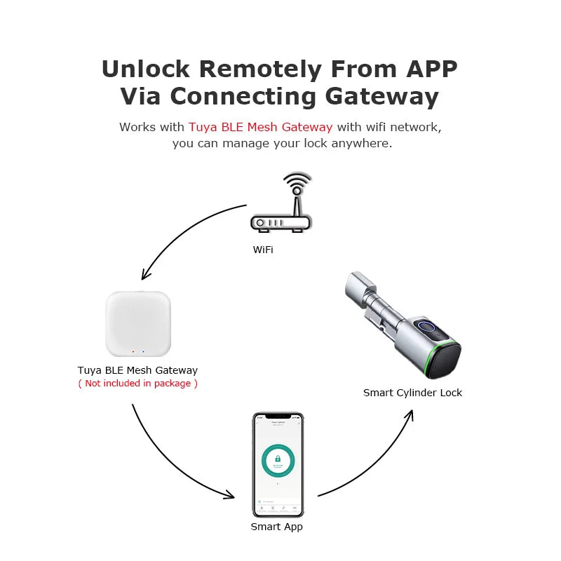 Euro Tuya Smart Fingerprint Electronic lock with Cylinder Tuya BLE Smart Euro lock Lock fechadura APP Remote Control Key Unlock