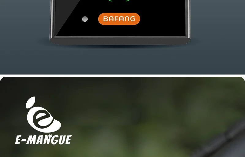 Bafang DPC18 Electric Bike Display with Speedometer USB Charging Port for Mid Drive Motor BBS01B BBS02B BBSHD Speedometer