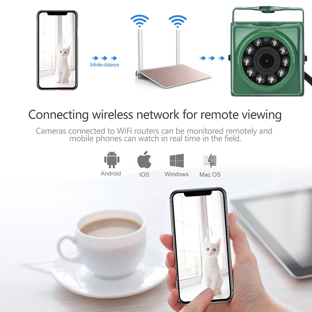 Mini 5MP Security Camera Wireless Outdoor IR CUT 940nm LED WiFi Human Detection IP65 Waterproof Birdcage pet room Wildlife Cam