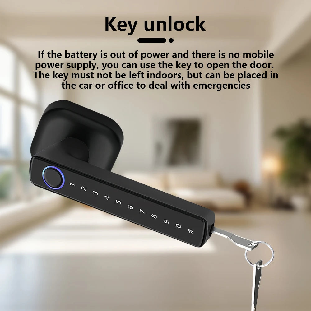 CDOK 2025 New M6 Tuya Bluetooth smart lock, door lock, fingerprint lock, password lock, multiple unlocking methods