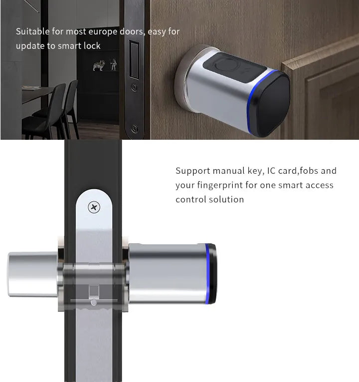 RAYKUBE L31 Tuya BLE Smart Fingerprint Electronic Door Lock Cylinder Lock With Tuya/ Smart Life APP Keys IC Card/NFC Unlock