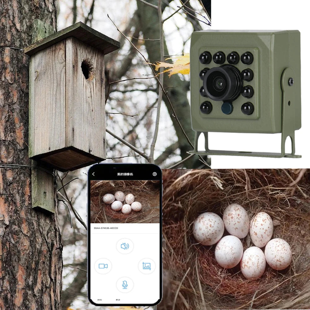 6MP 4MP POE 2K Tuya Mini Wireless WiFi IP Camera Bird Cage IRCUT Night Vision Small Size Bird Nest Home Security CCTV Smart Life