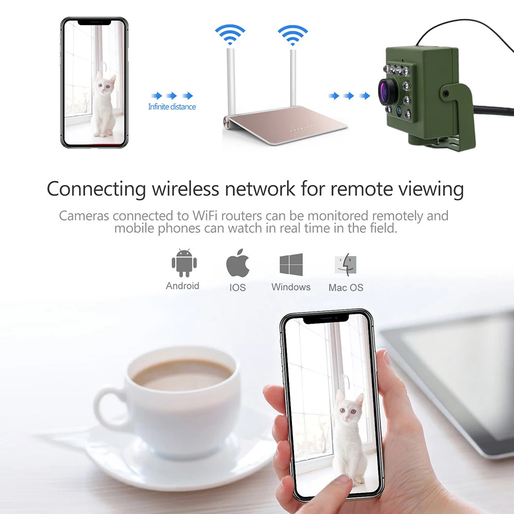 Bird Watching Camera Wireless Wild Wifi Bird Nest Green Box Kit 5M Wire Night Vision 5MP 2MP P2P Audio Mini IPC In the birdcage