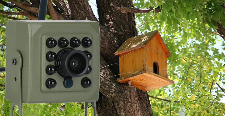 6MP 4MP POE 2K Tuya Mini Wireless WiFi IP Camera Bird Cage IRCUT Night Vision Small Size Bird Nest Home Security CCTV Smart Life