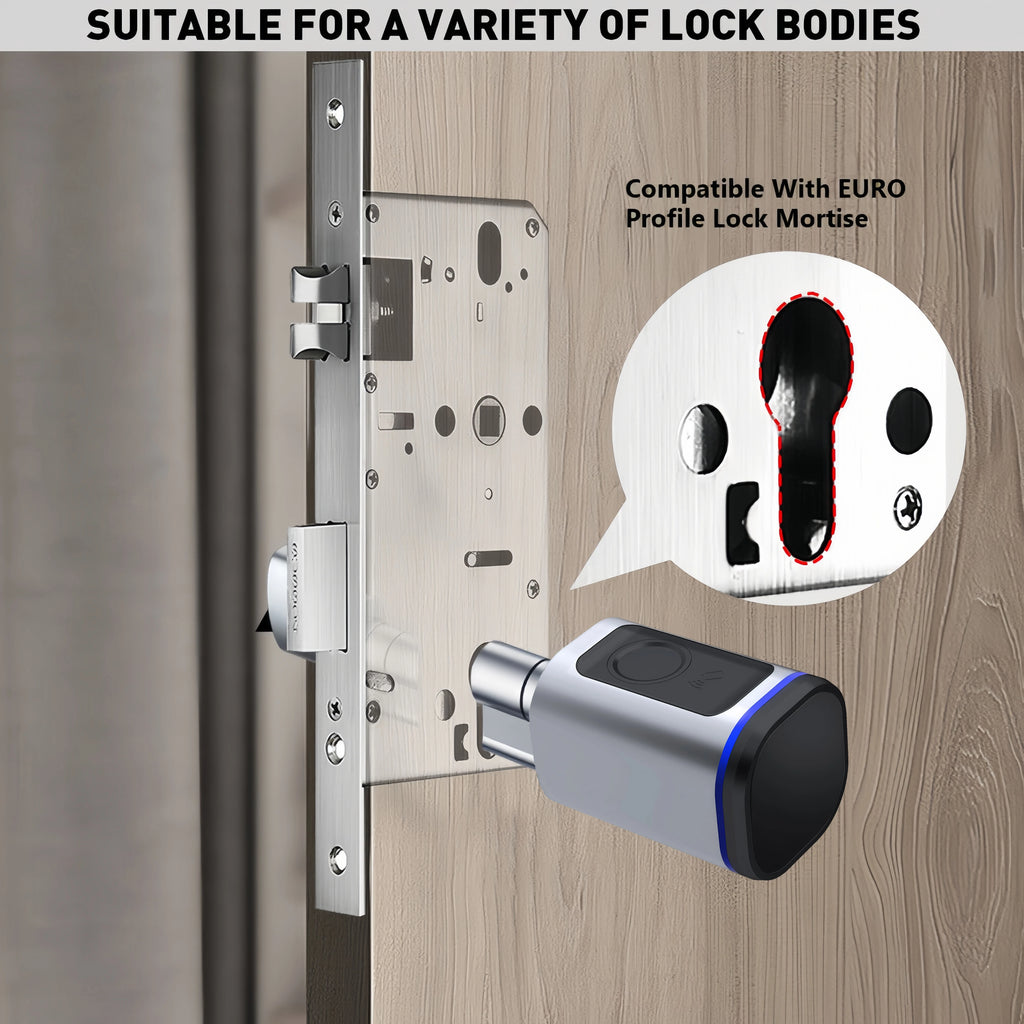 RAYKUBE L31 Tuya BLE Smart Fingerprint Electronic Door Lock Cylinder Lock With Tuya/ Smart Life APP Keys IC Card/NFC Unlock