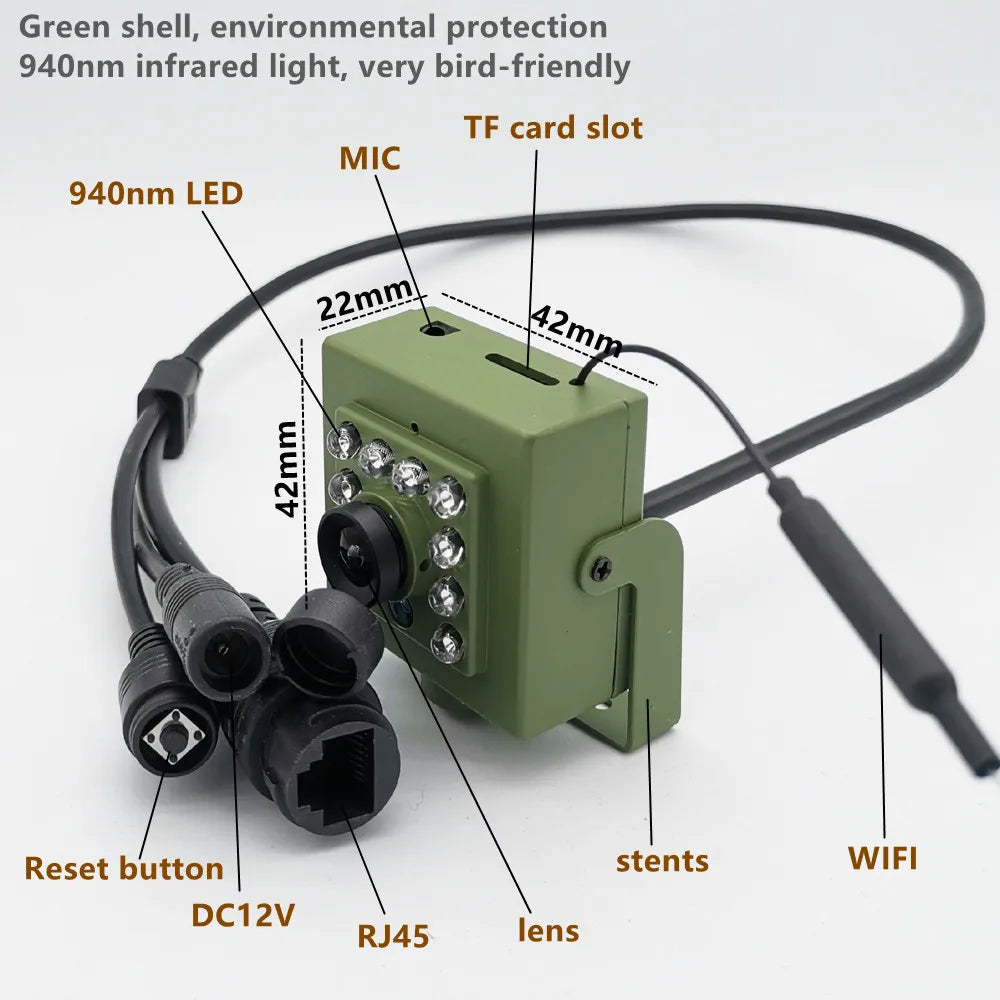 Bird Watching Camera Wireless Wild Wifi Bird Nest Green Box Kit 5M Wire Night Vision 5MP 2MP P2P Audio Mini IPC In the birdcage